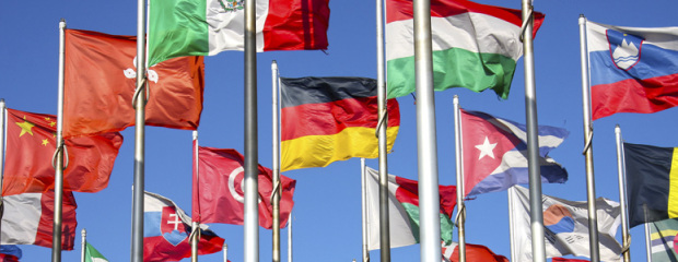 Information in English. Symbol: Hissed flags representing the United Nations Member States in front of a blue sky