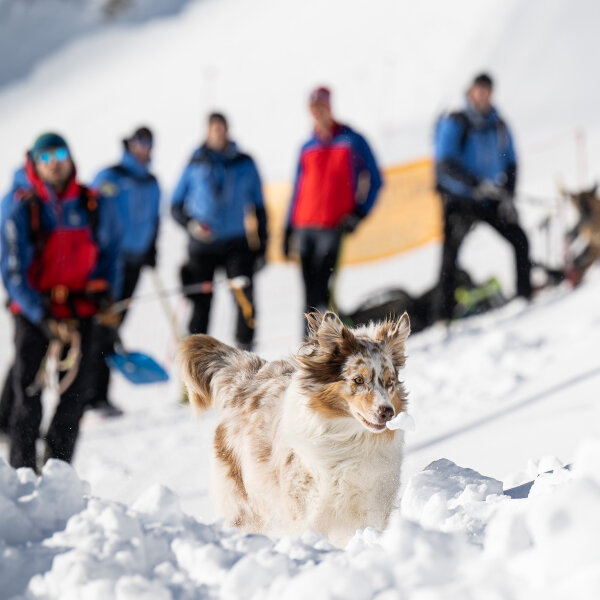 Personen mit Hunden im Schnee